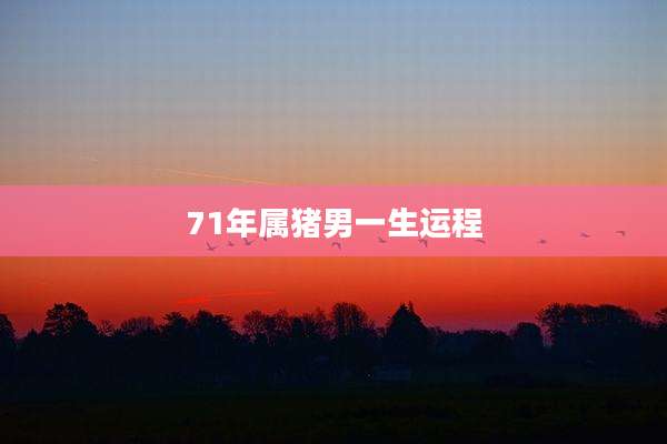 71年属猪男一生运程