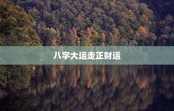 八字大运走正财运