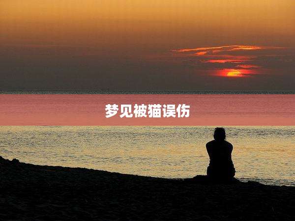 梦见被猫误伤