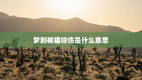梦到被猫咬伤是什么意思
