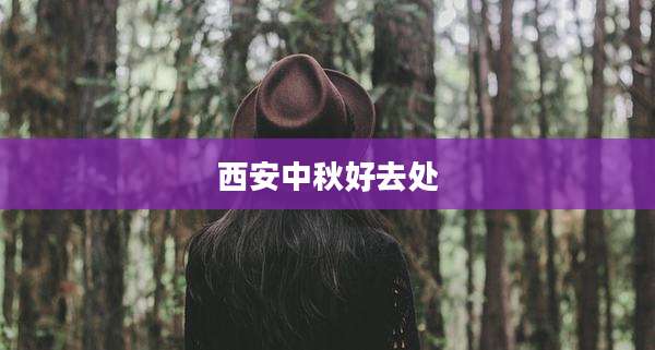 西安中秋好去处