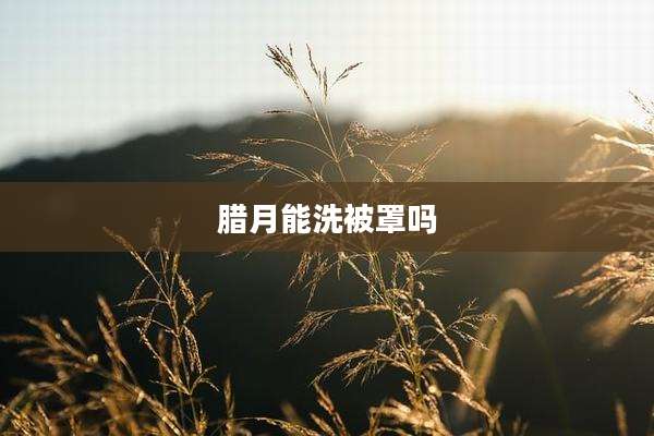 腊月能洗被罩吗