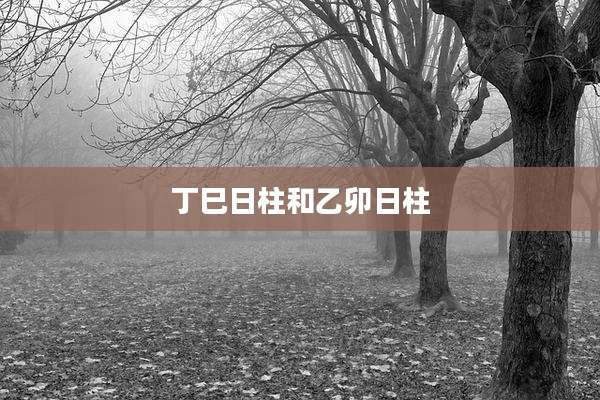 丁巳日柱和乙卯日柱