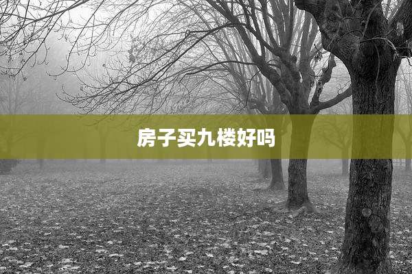 房子买九楼好吗