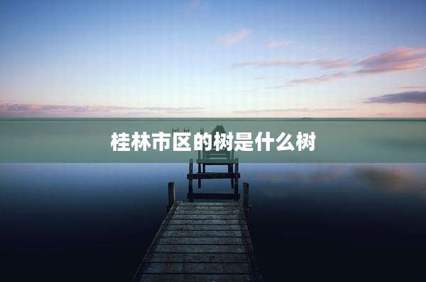 桂林市区的树是什么树