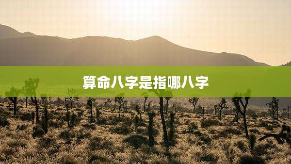 算命八字是指哪八字