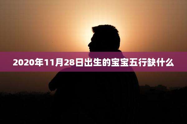 2020年11月28日出生的宝宝五行缺什么