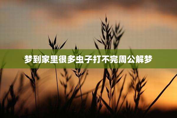 梦到家里很多虫子打不完周公解梦
