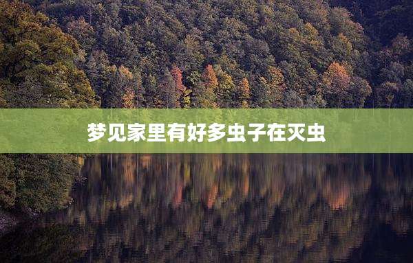 梦见家里有好多虫子在灭虫