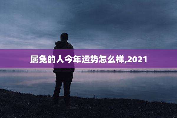 属兔的人今年运势怎么样,2021