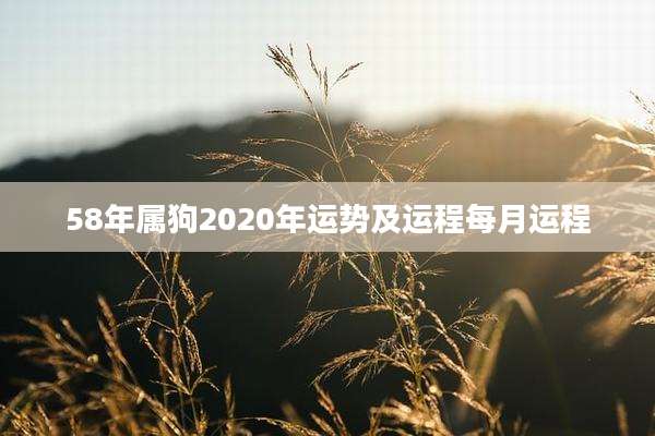 58年属狗2020年运势及运程每月运程