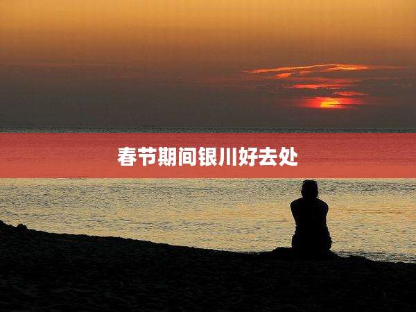 春节期间银川好去处