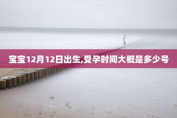 宝宝12月12日出生,受孕时间大概是多少号