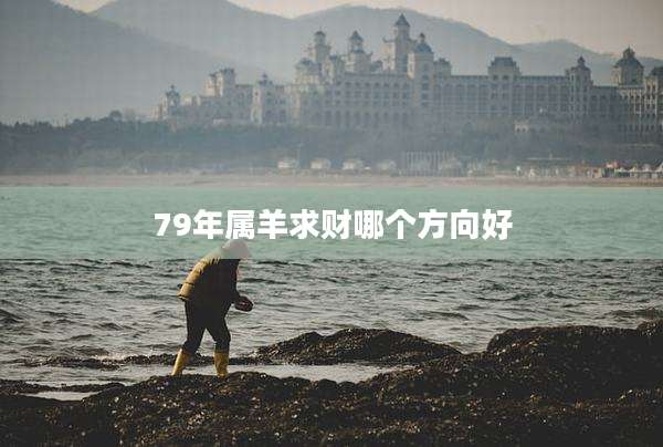 79年属羊求财哪个方向好