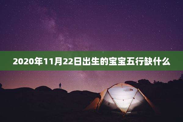 2020年11月22日出生的宝宝五行缺什么
