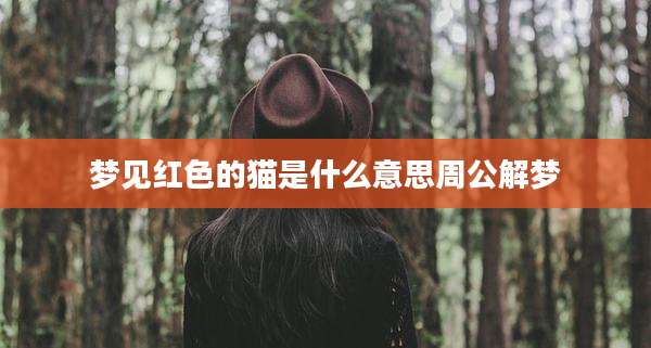 梦见红色的猫是什么意思周公解梦