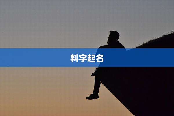 料字起名