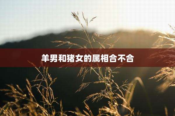 羊男和猪女的属相合不合
