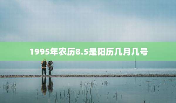 1995年农历8.5是阳历几月几号
