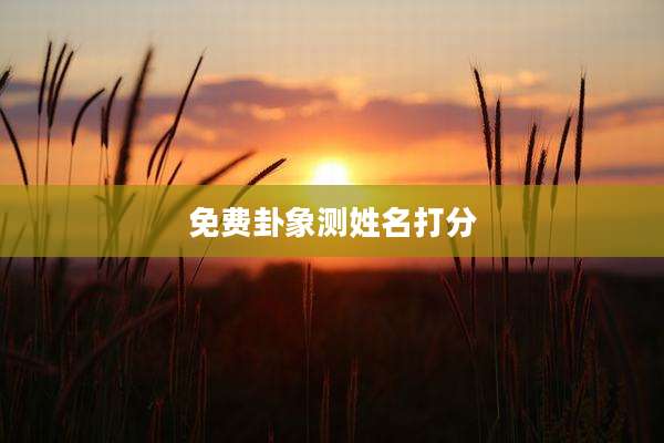 免费卦象测姓名打分