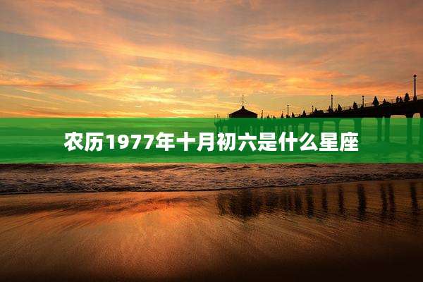 农历1977年十月初六是什么星座