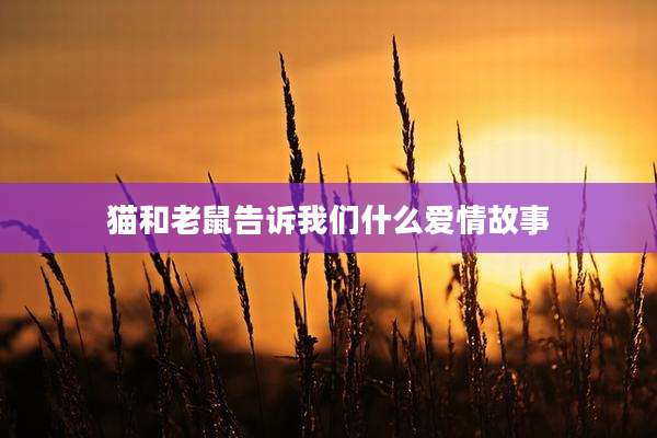 猫和老鼠告诉我们什么爱情故事