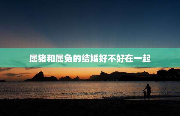 属猪和属兔的结婚好不好在一起