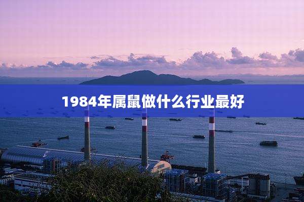 1984年属鼠做什么行业最好