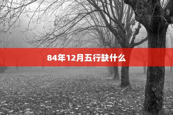 84年12月五行缺什么