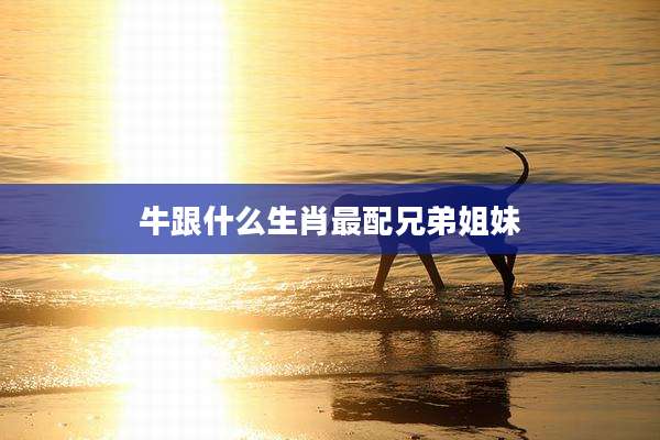 牛跟什么生肖最配兄弟姐妹