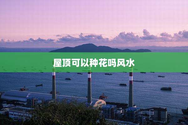 屋顶可以种花吗风水