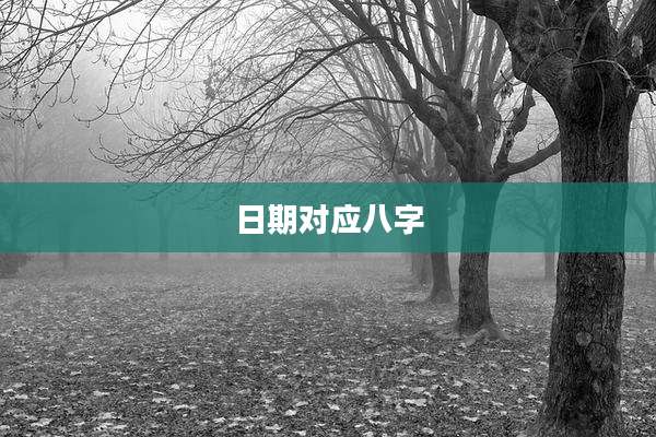日期对应八字
