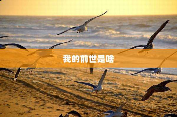 我的前世是啥