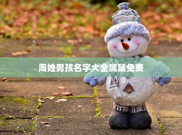 周姓男孩名字大全属鼠免费
