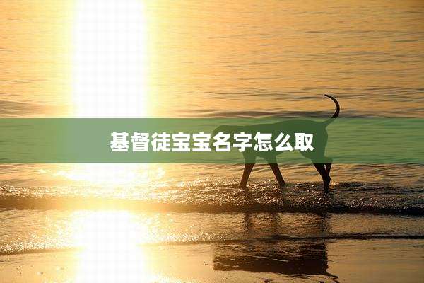 基督徒宝宝名字怎么取