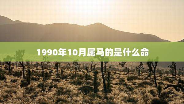 1990年10月属马的是什么命
