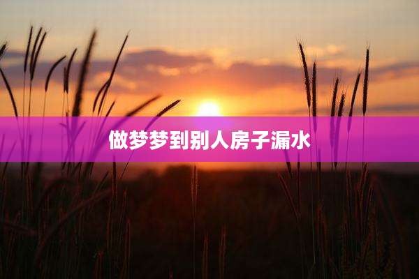 做梦梦到别人房子漏水