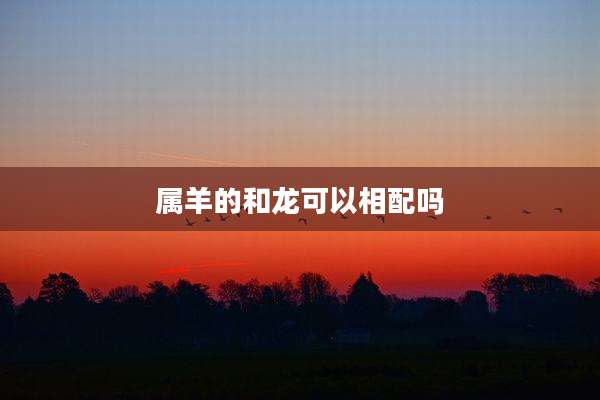 属羊的和龙可以相配吗