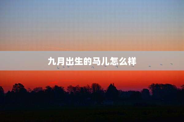 九月出生的马儿怎么样
