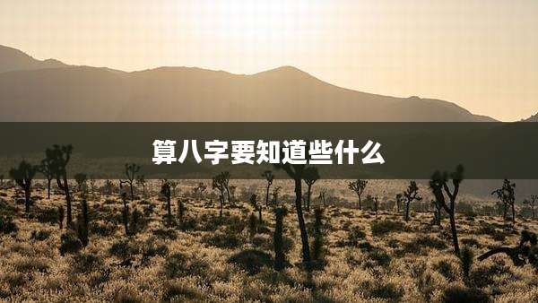 算八字要知道些什么
