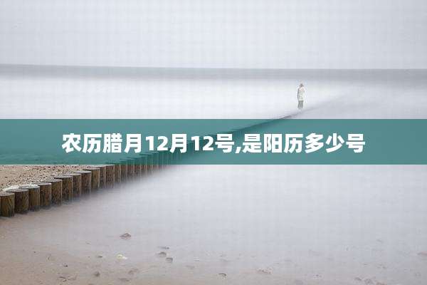 农历腊月12月12号,是阳历多少号