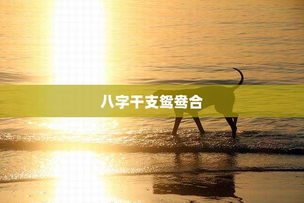 八字干支鸳鸯合
