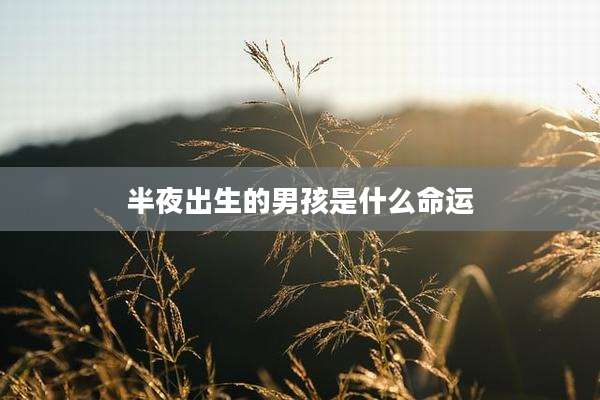 半夜出生的男孩是什么命运