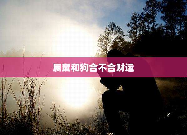 属鼠和狗合不合财运