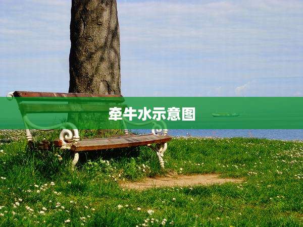 牵牛水示意图