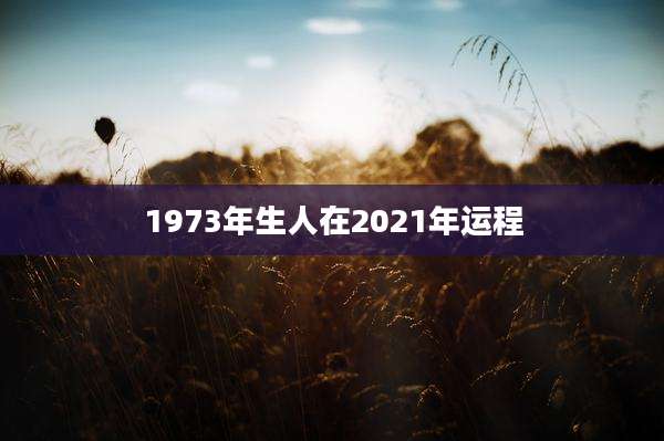 1973年生人在2021年运程