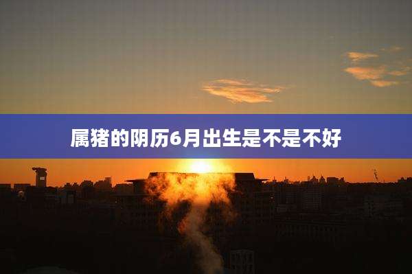属猪的阴历6月出生是不是不好