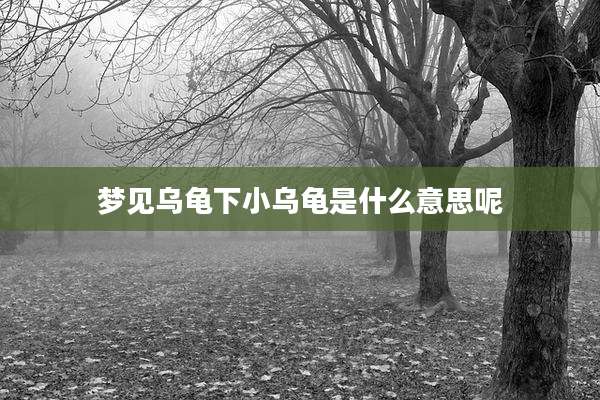 梦见乌龟下小乌龟是什么意思呢