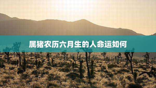 属猪农历六月生的人命运如何