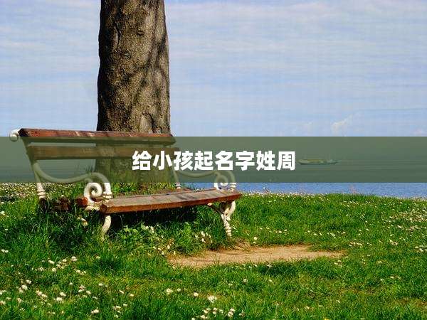 给小孩起名字姓周